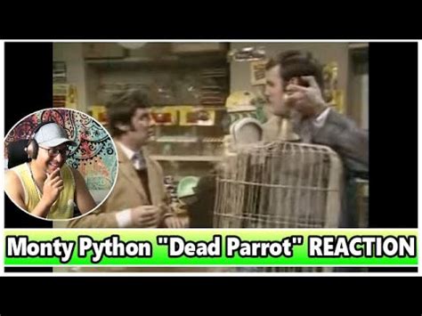 youtube monty python|youtube monty python dead parrot.